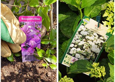 Stecketiketten für Blumen in Gartenpflanzen