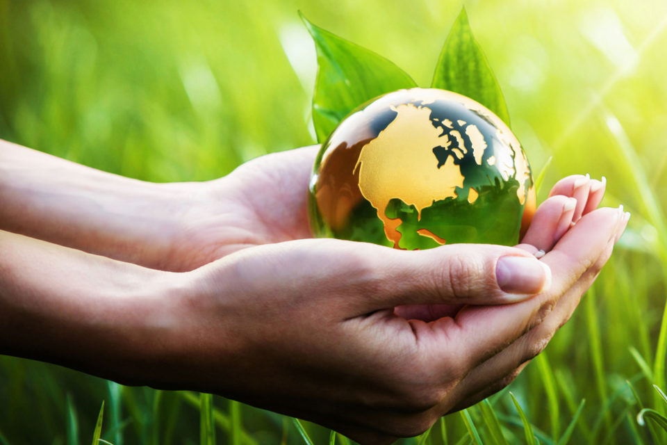 Nachhaltigkeit - Sustainability